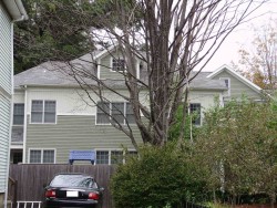 133 Rand Ter, Newton, MA 02466-2413