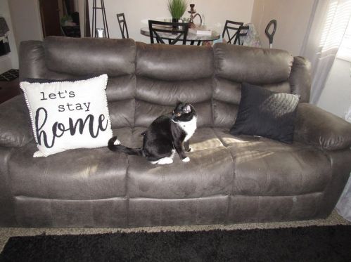 830 Boylston St, Worcester MA 01606-3074 exterior