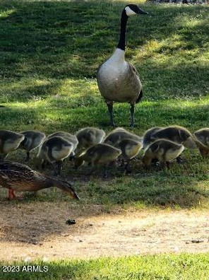 94 Biltmore Est, Phoenix, AZ 85016-2820