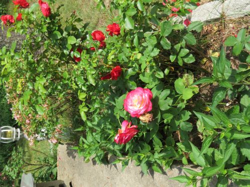 400 School House Rd, Eastham MA 02642-3014 exterior