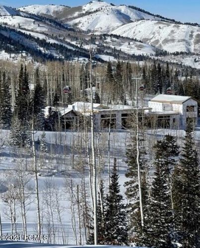 230 White Pne Cyn Rd, Park City UT 84060-6511 exterior