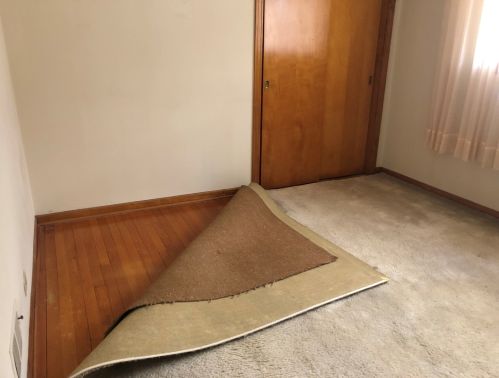 1618 Home Ave, Forest View IL 60402-2118 exterior