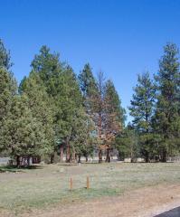 359 Rope Pl, Black Butte Ranch, OR 97759-5008