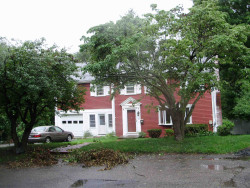 41 Colgate Rd, Newton, MA 02462-1304