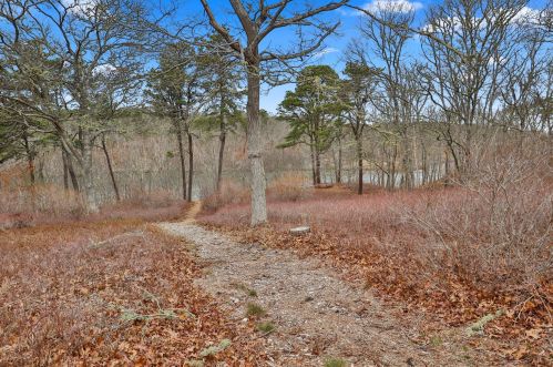 595 Riverview Dr, Chatham MA  02633-1117 exterior