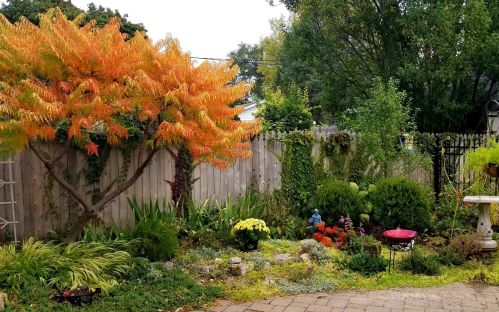 3109 Maple Ave, Forest View IL 60402-1252 exterior