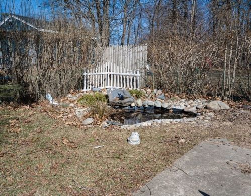 24 Bussey St, Dedham MA 02026-2239 exterior