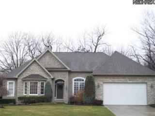 111 Providence Ct, Cleveland, OH 44108-1178