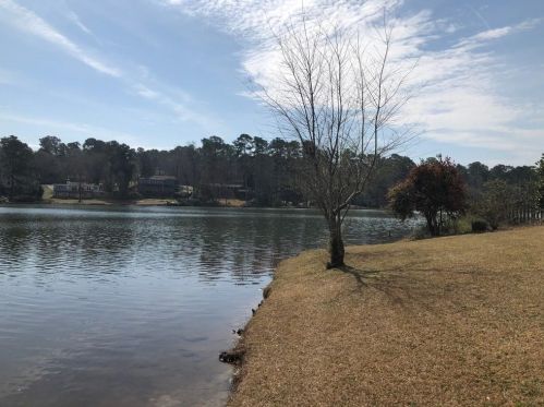 2091 Napoli Cir, Conyers GA 30012-2954 exterior