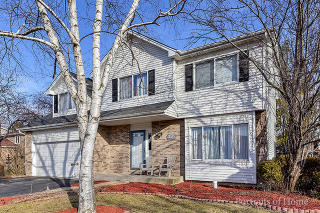 228 Butte View Dr, Lemont IL  60490-1518 exterior