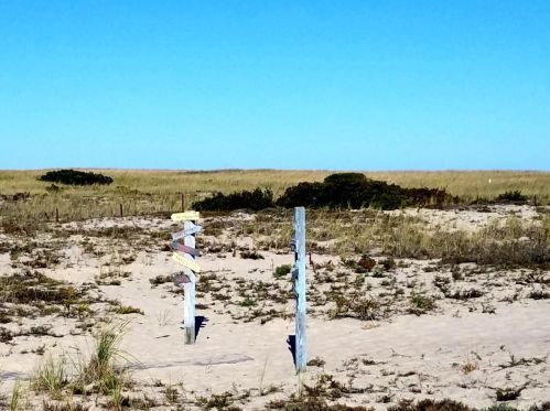 65 Morris Is Rd, Chatham MA 02633-2526 exterior