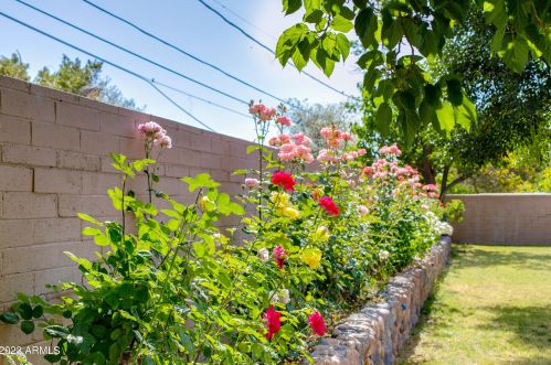 3713 Camelback Rd, Phoenix AZ 85033-1505 exterior