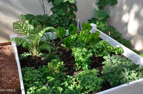 2989 44th St, Phoenix AZ 00000-7203 exterior