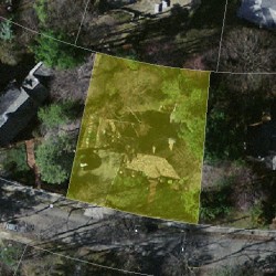 21 Fox Ln, Newton MA  02459-3023 aerial view