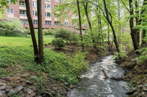 1 Watermill Pl, Arlington MA 02476-4140 exterior