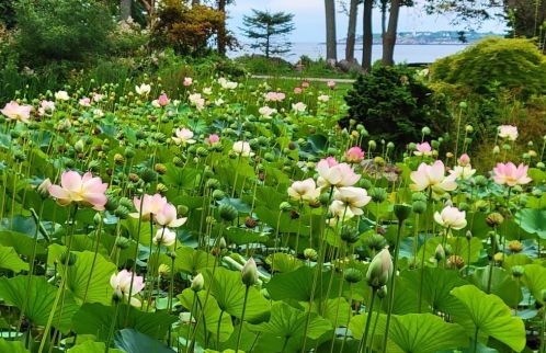 973 Hale St, Beverly MA 01915-4634 exterior