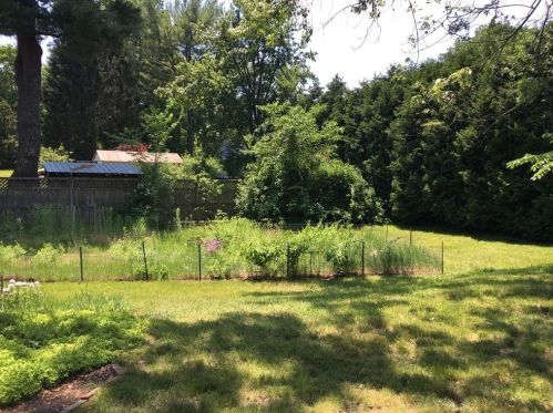 185 Pelham Rd, Amherst MA 01002-9777 exterior