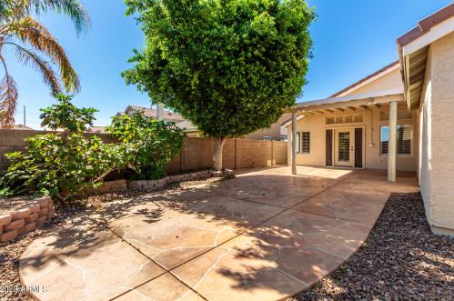 16637 29 St, Phoenix AZ 85032-3726 exterior