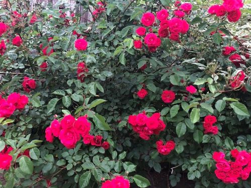 7 Apple Ridge Rd, Sutton MA  01590-2977 exterior