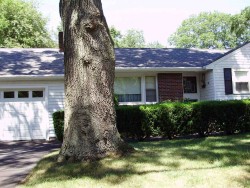 76 Hartman Rd, Newton, MA 02459-3060