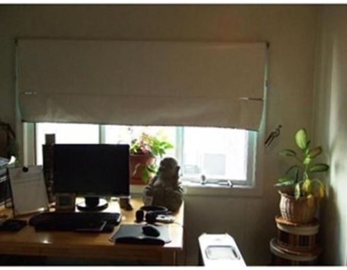 61 Jasset St, Newton MA 02458-1055 exterior