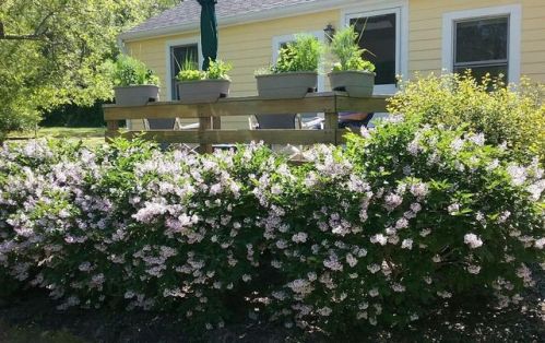 74 Hay Rd, Eastham MA  02642-3277 exterior