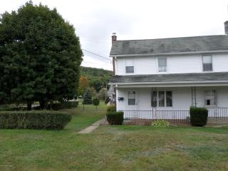 1118 Chestnut St, West Nanticoke PA  18634-4222 exterior