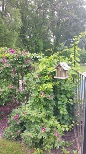 9 Parmenter Rd, Southborough MA exterior