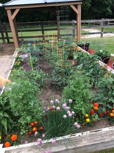 16 Pierce Rd, Sutton MA 01590-2909 exterior