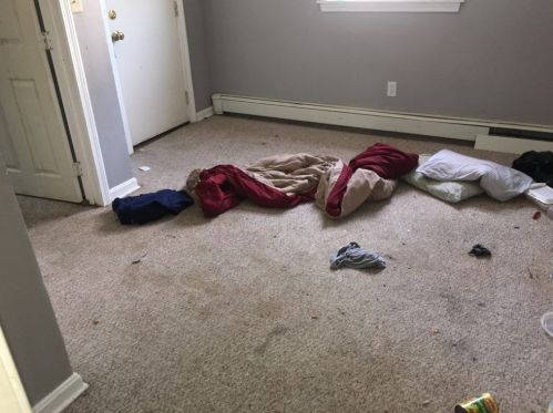 11 Daisy St, Lawrence MA 01841-3035 exterior