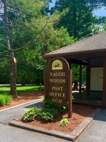 123 Waterside Clearing, Acton MA  01718-1013 exterior