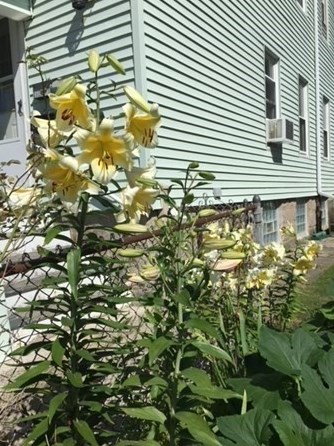 123 Locust St, New Bedford MA 02740-4506 exterior