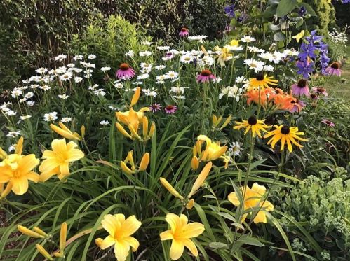 136 Randall St, Worcester MA 01606-2039 exterior