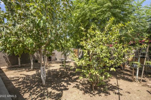 3802 Catalina Dr, Phoenix AZ 85015-6025 exterior