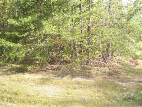 2304 Arrow Trl, Monterey TN  38574-7300 exterior