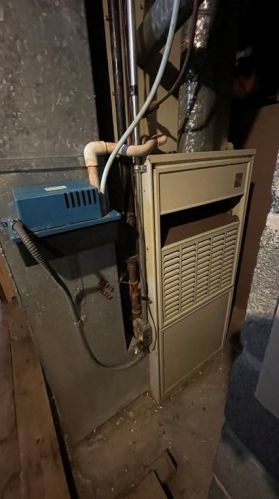 15 Ernest Ave, Worcester MA 01604-2326 exterior