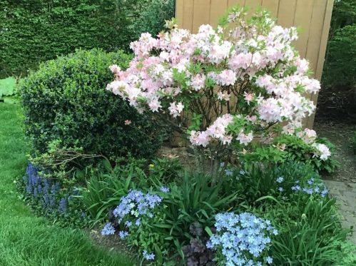 136 Randall St, Worcester MA 01606-2039 exterior