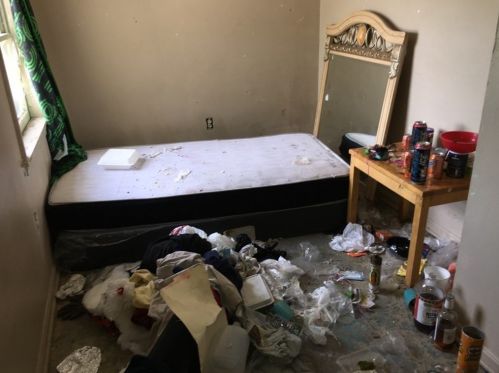 11 Daisy St, Lawrence MA 01841-3035 exterior