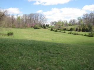 202 Mashburn Rd, Telford TN  37690-3133 exterior