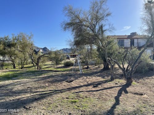 393 Euclid Ave, Phoenix, AZ 85041-8436