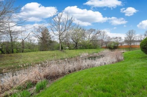 501 Goodwin Dr, Lemont IL 60440-2098 exterior