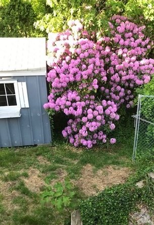 940 Randolph Ave, Milton MA 02186-4030 exterior