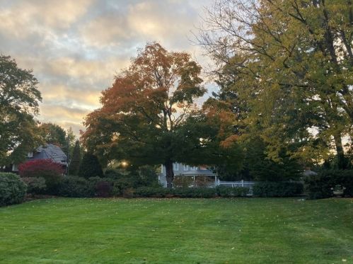 77 Windsor Rd, Newton MA 02468-1504 exterior