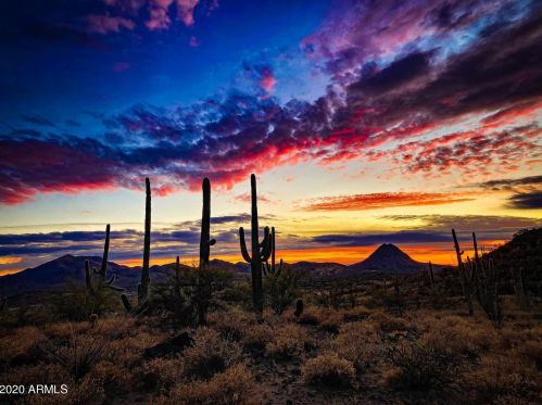 39720 Central Ave, Phoenix AZ 85004-2114 exterior