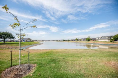 9006 Bonbrook Bnd Ln, Richmond TX 77469-4730 exterior