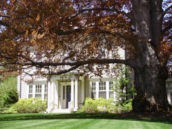 661 Commonwealth Ave, Newton, MA 02459-1102