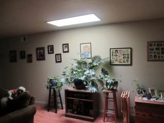 3721 Vista Ave, Phoenix AZ  85051-6420 exterior