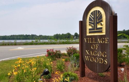 549 Great Elm Way, Acton MA  01718-1005 exterior