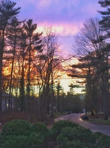 22 Mohegan St, Norfolk MA 02056-1125 exterior