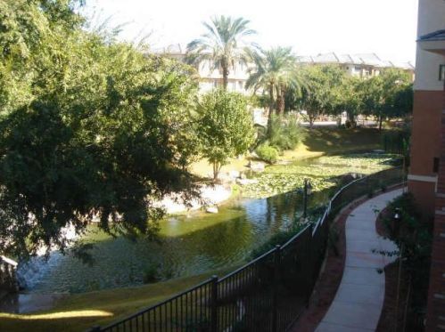 2989 44th St, Phoenix AZ  00000-7203 exterior